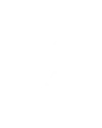 شعار رونق للسبا المنزلي